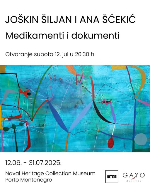 515496883_739048002093137_2528006858385107921_n (4)